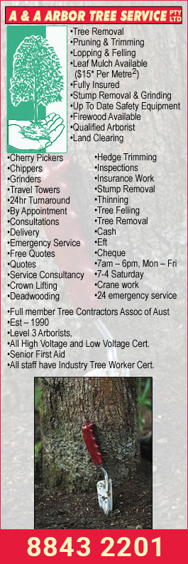 A & A Arbor Tree Service - Promotion