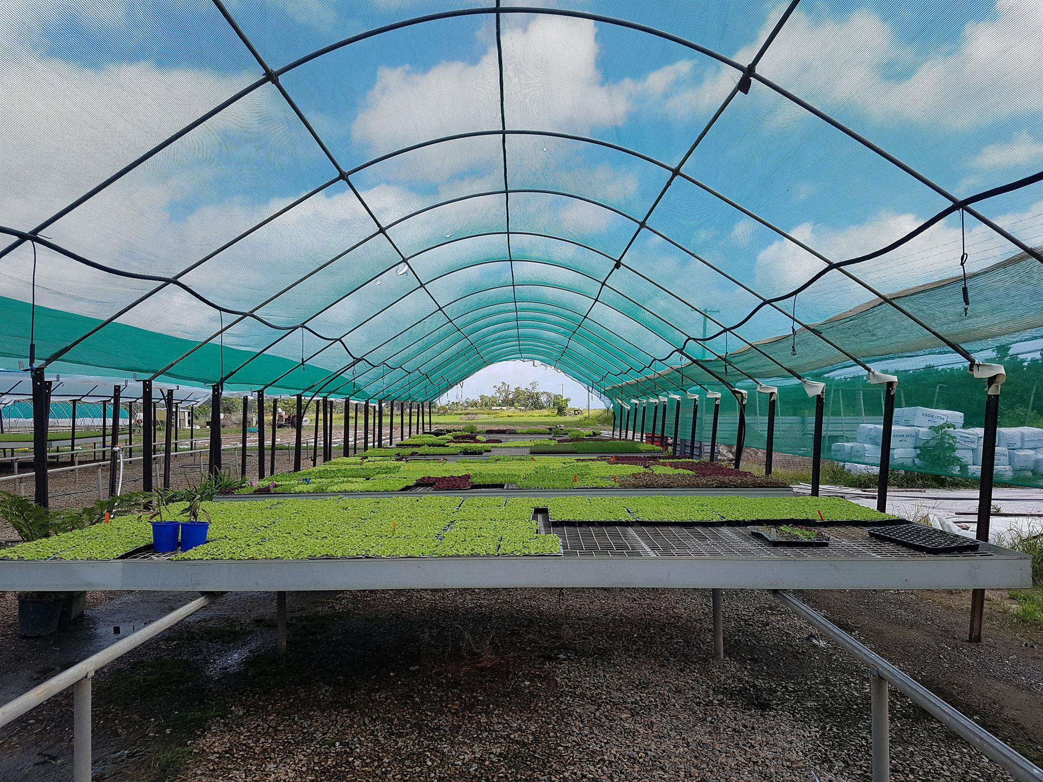 Meadowvale Seedling Nursery Nursery & Garden Supplies Wholesale 104