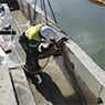 Robert Guy & Sons Pty Ltd - Pic 2