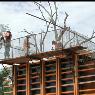 SMK (Gatton) Pty Ltd - Pic 6