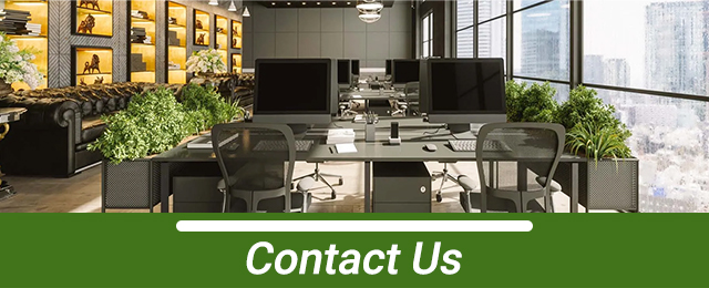 D&L Indoor Plant Hire & Garden Maintenance Pty Ltd - Promotion 1