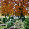 Hunter Valley Memorials - Pic 2