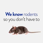 Termitrust Pest Control Experts - Pic 10