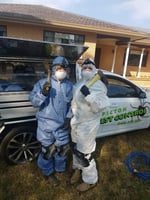 Picton Pest Control - Pic 10