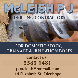 McLeish P J - Promotion