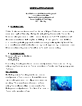 Future Scope -Underwater Welding