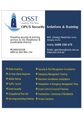 View PDF