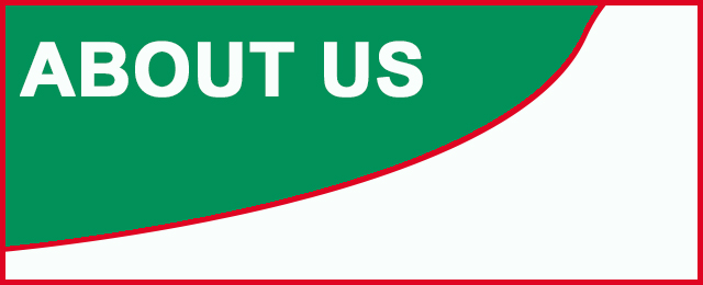 A1 Electric Motors Pty Ltd - Promotion 2