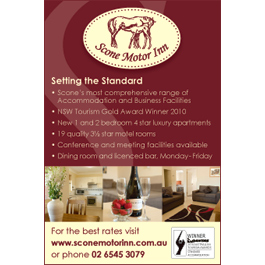 Scone Motor Inn - Promotion