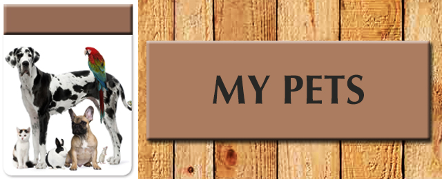 Tugun Veterinary Surgery - Promotion 3