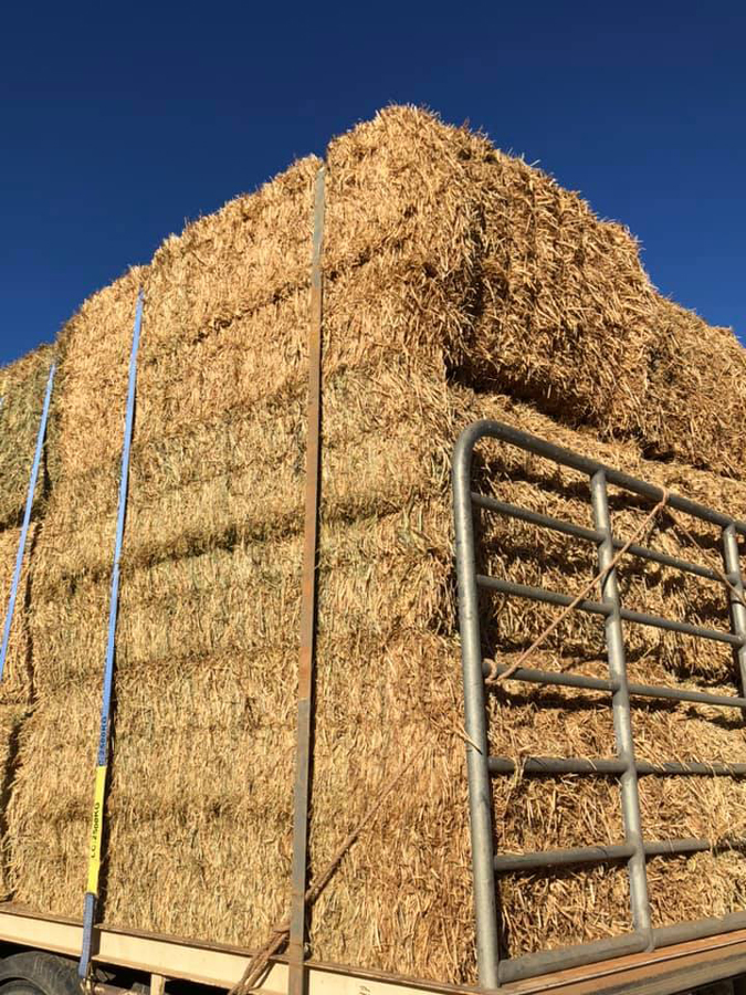 Broken Hill Skip Bins Rubbish Removal & Skip Bins Broken Hill