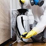 Bligh Park Pest Control - Pic 5