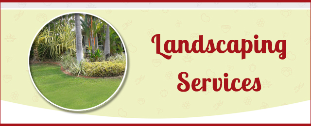 Allora Gardens Nursery - Promotion 1