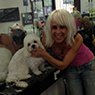 New York Dog Wash - Pic 8