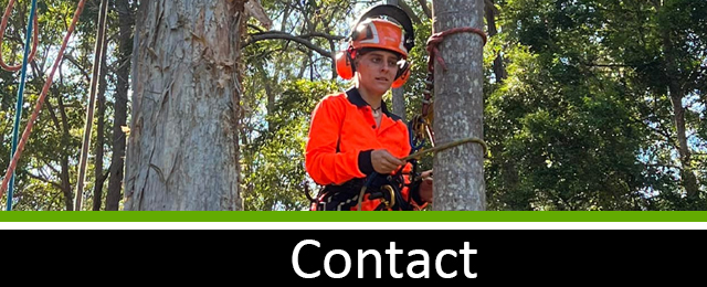 Micks Tree Worx - Promotion 1