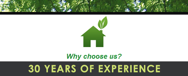Brisbane Tree Experts - Promotion 1