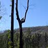 Biota Group - Pic 7