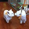 New York Dog Wash - Pic 1