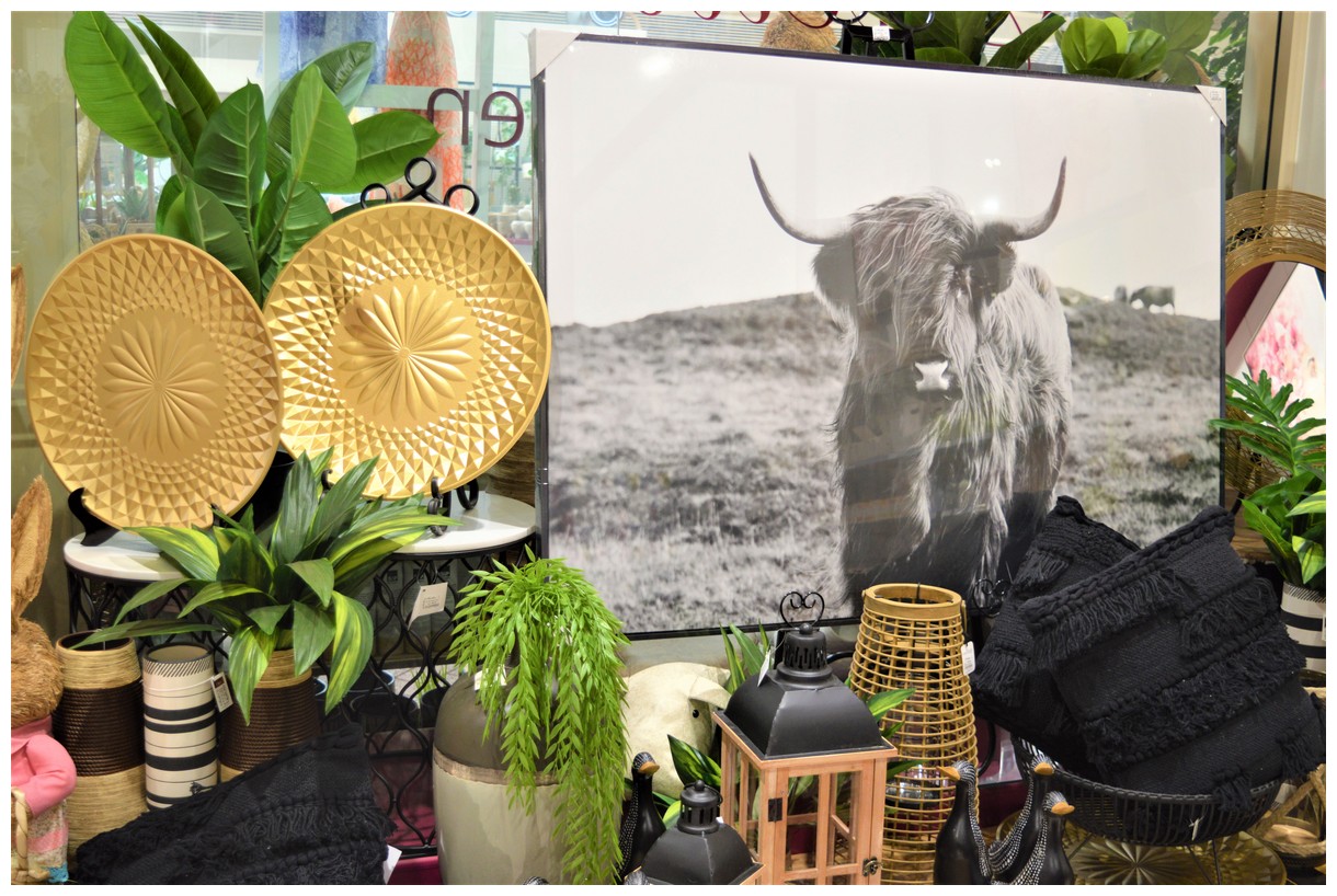 Virginia Nursery Pty Ltd - Promotion 2