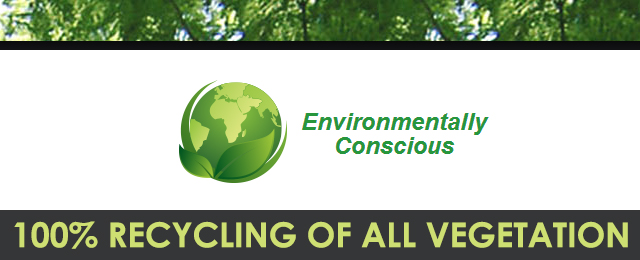 Brisbane Tree Experts - Promotion 2