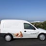 Health Protect Cleaning Warrnambool - Pic 1
