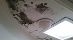Western Suburbs Cleaning Service - Pic 5