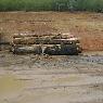 Dindi Sawmills Pty Ltd - Pic 6