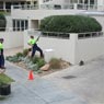 Redback Tree Services - Pic 4