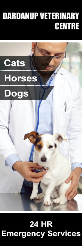 Dardanup Veterinary Centre - Promotion