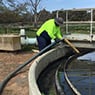Seymour & District Septic Cleaners - Pic 3