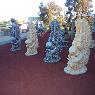 Mint Garden Centre - Pic 6