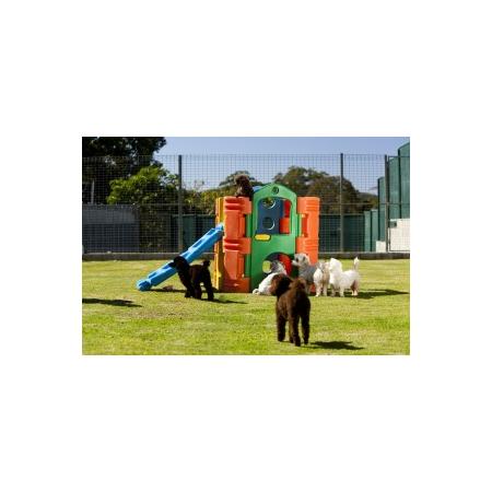 Dog Grooming Course Gold Coast Dog Grooming Course Gold Coast