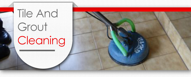 Stain Busters Carpet Cleaning & Pest Control - Promotion 3