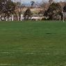 Greenacres Turf Farm - Pic 9