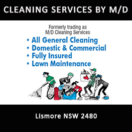 CLEANING SERVICES BY M/D - Promotion
