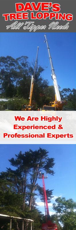 Dave's Tree Lopping & All Green Waste Removals - Promotion