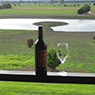 Traralgon Vineyard - Pic 3