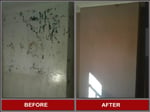 SSP Construction - Pic 2