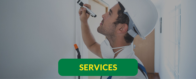 Ridley's Pest Control - Promotion 2