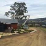 Hobart Tree Chipping & Recycling - Pic 10