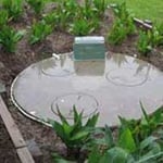 Wet Waste - Pic 5