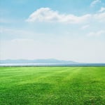 Aussie Turf & Soil - Pic 4