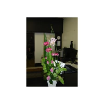 Flowers On Johnson - Pic 3