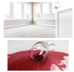 Stain Busters Carpet Cleaning & Pest Control - Pic 2