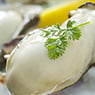 M & G Seafood Wholesalers - Pic 7