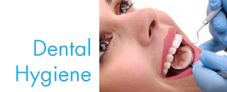 Hermitage Dental Kempsey - Promotion 1
