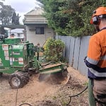 Nelson's Tree Services - Pic 3