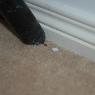 Australian Advanced Carpet Care - Pic 10