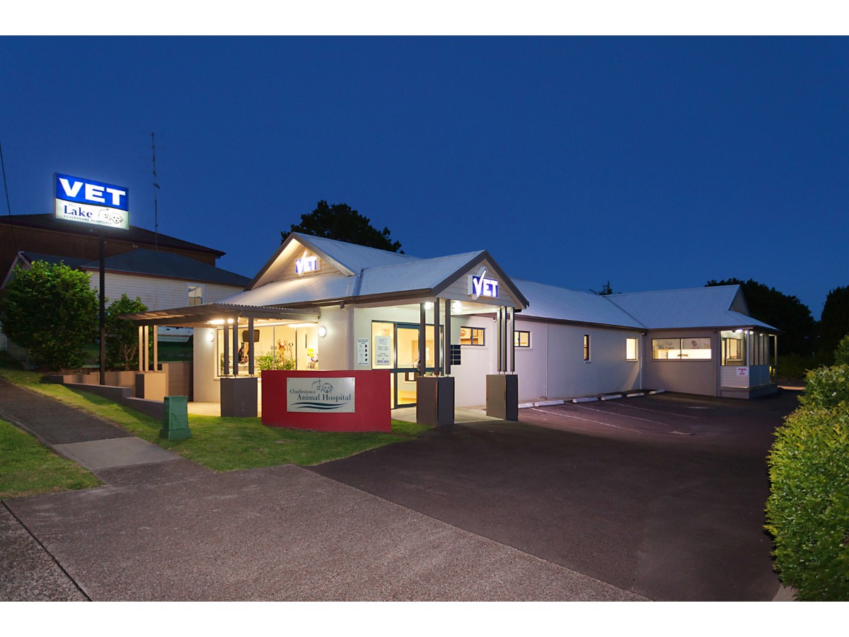 Lake Veterinary Hospital Vet Belmont Yellow Pages®