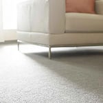 T and B Flooring - Pic 9